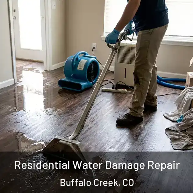  Residential Water Damage Repair Buffalo Creek, CO
