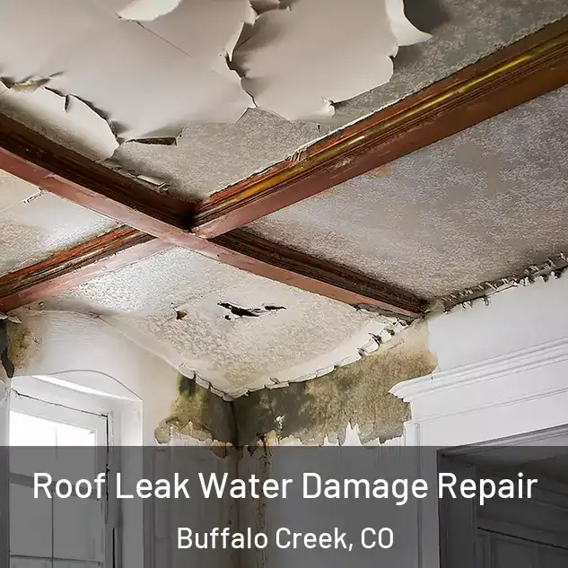 Roof Leak Water Damage Repair Buffalo Creek, CO