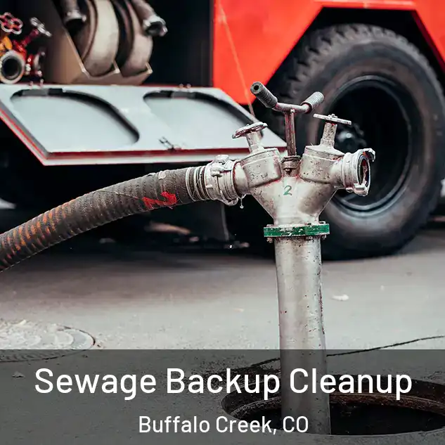  Sewage Backup Cleanup Buffalo Creek, CO