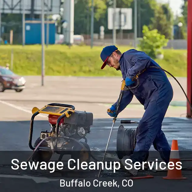  Sewage Cleanup Services Buffalo Creek, CO