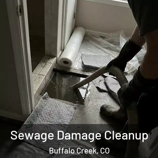  Sewage Damage Cleanup Buffalo Creek, CO