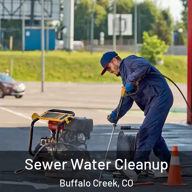  Sewer Water Cleanup Buffalo Creek, CO