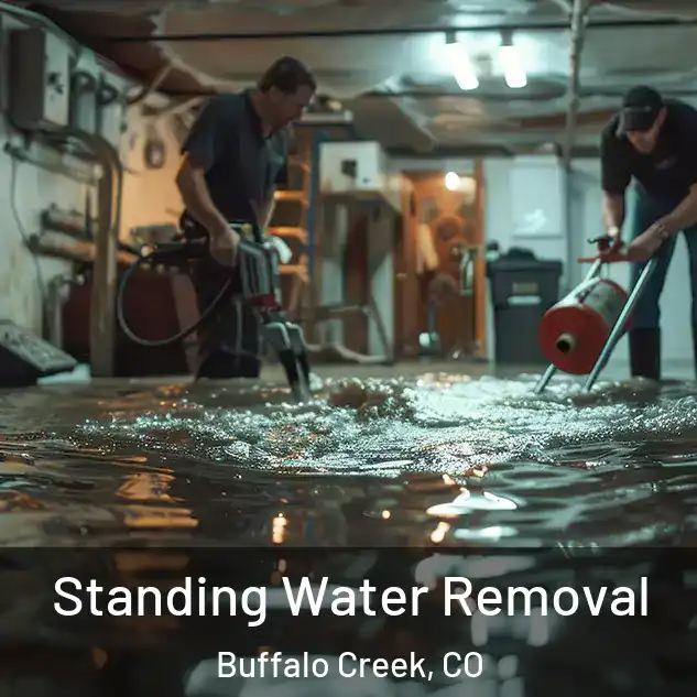  Standing Water Removal Buffalo Creek, CO