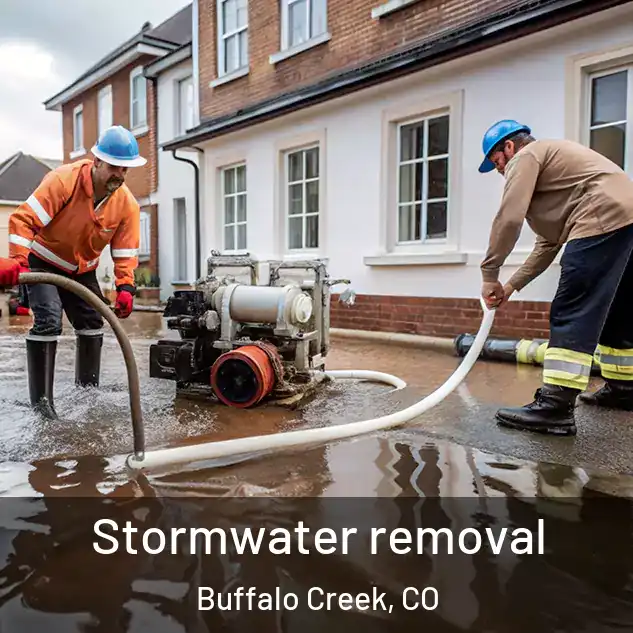  Stormwater removal Buffalo Creek, CO