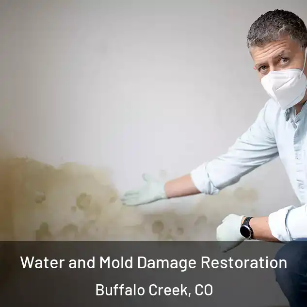  Water and Mold Damage Restoration Buffalo Creek, CO