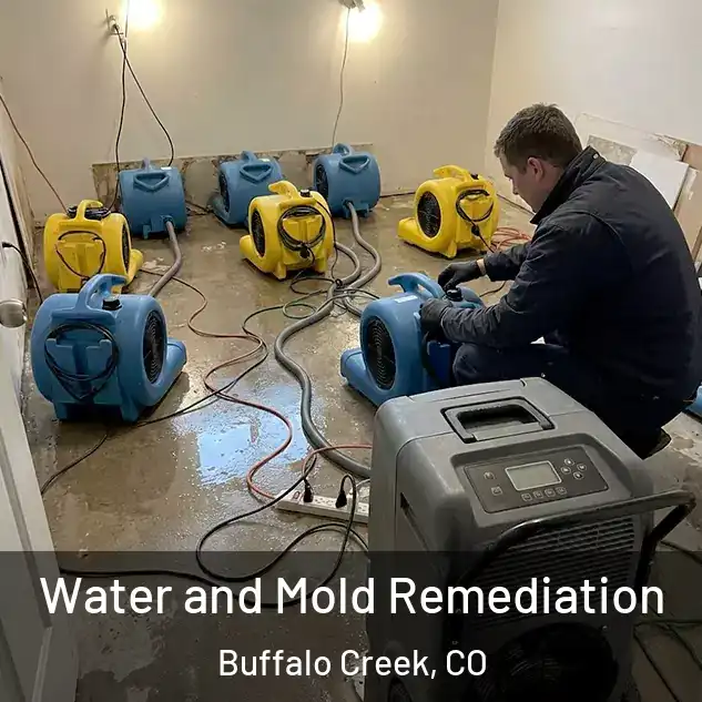  Water and Mold Remediation Buffalo Creek, CO