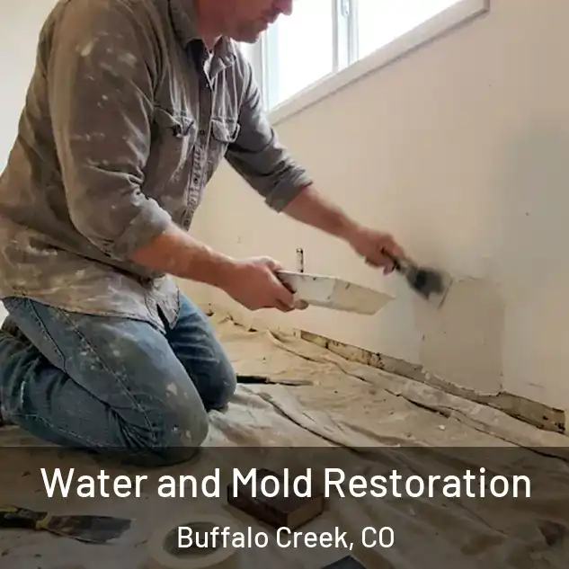  Water and Mold Restoration Buffalo Creek, CO