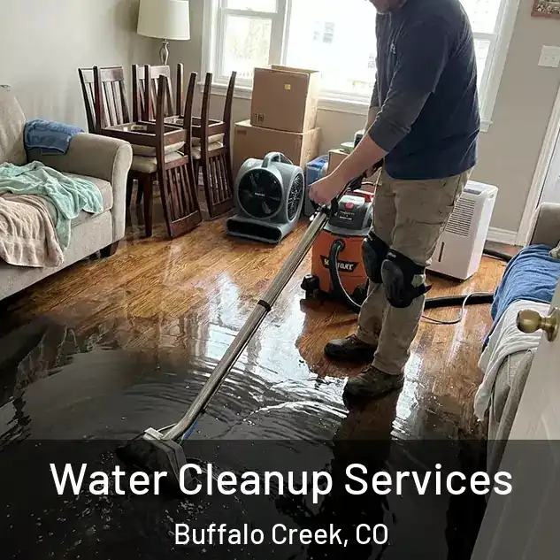 Water Cleanup Services Buffalo Creek, CO