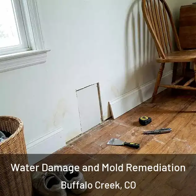  Water Damage and Mold Remediation Buffalo Creek, CO