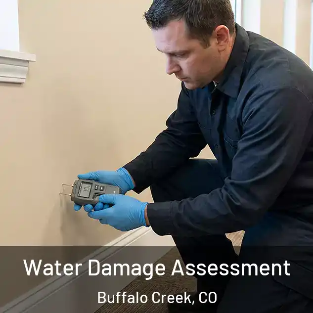  Water Damage Assessment Buffalo Creek, CO