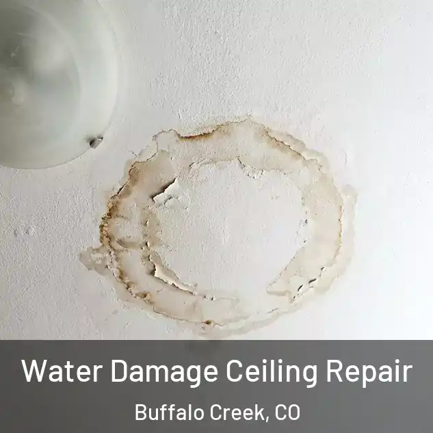  Water Damage Ceiling Repair Buffalo Creek, CO