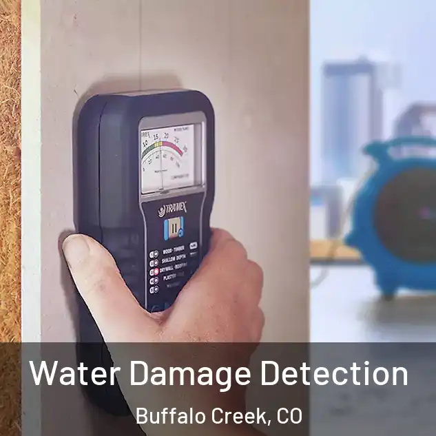  Water Damage Detection Buffalo Creek, CO