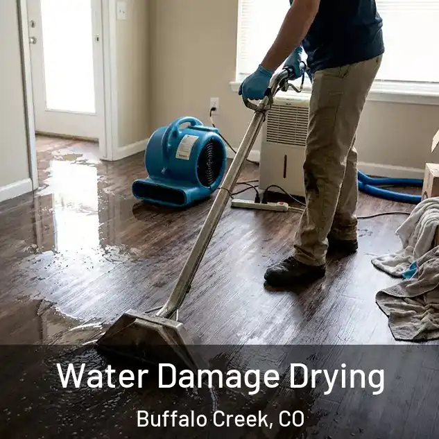  Water Damage Drying Buffalo Creek, CO