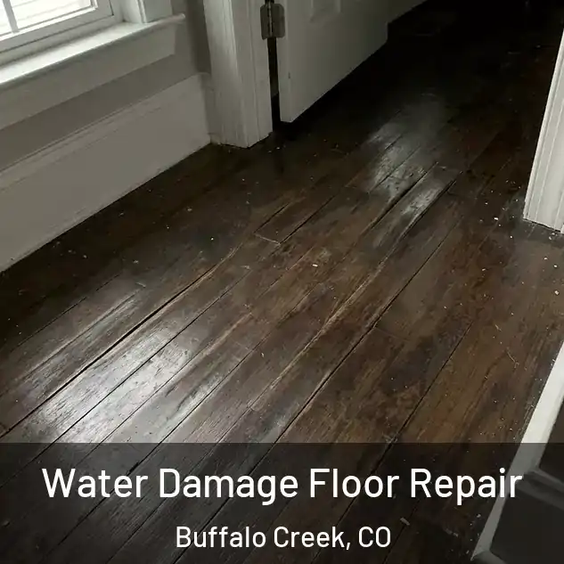  Water Damage Floor Repair Buffalo Creek, CO