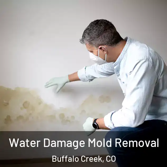  Water Damage Mold Removal Buffalo Creek, CO