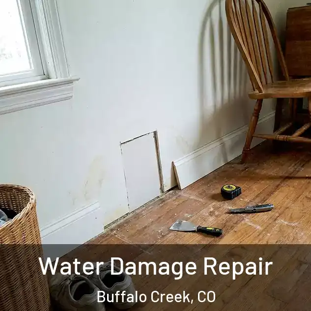  Water Damage Repair Buffalo Creek, CO