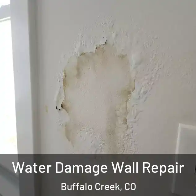  Water Damage Wall Repair Buffalo Creek, CO