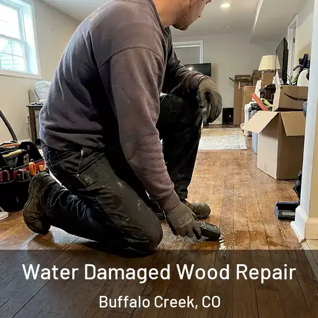  Water Damaged Wood Repair Buffalo Creek, CO