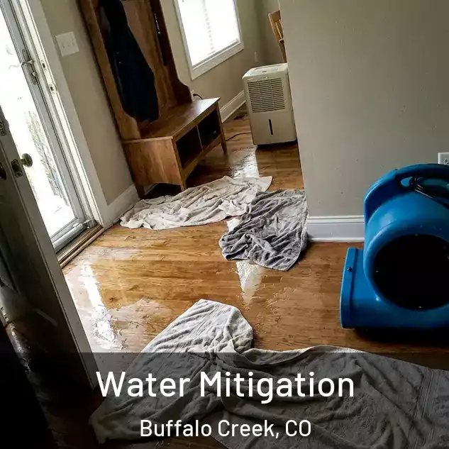  Water Mitigation Buffalo Creek, CO