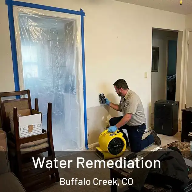  Water Remediation Buffalo Creek, CO