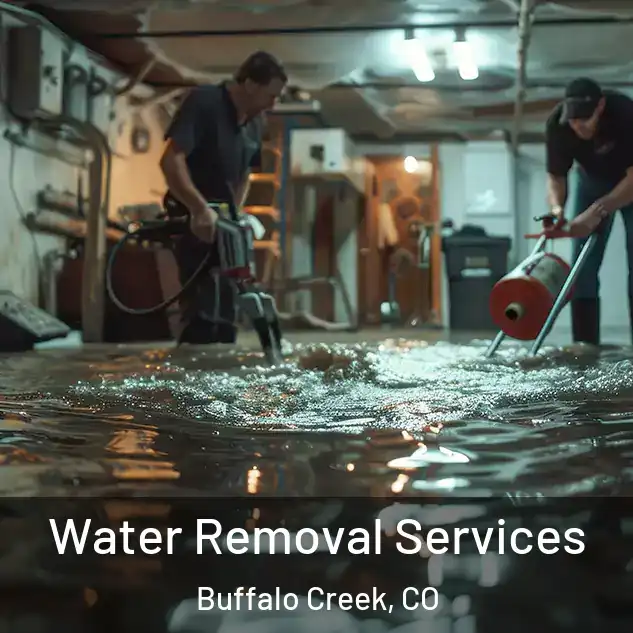  Water Removal Services Buffalo Creek, CO