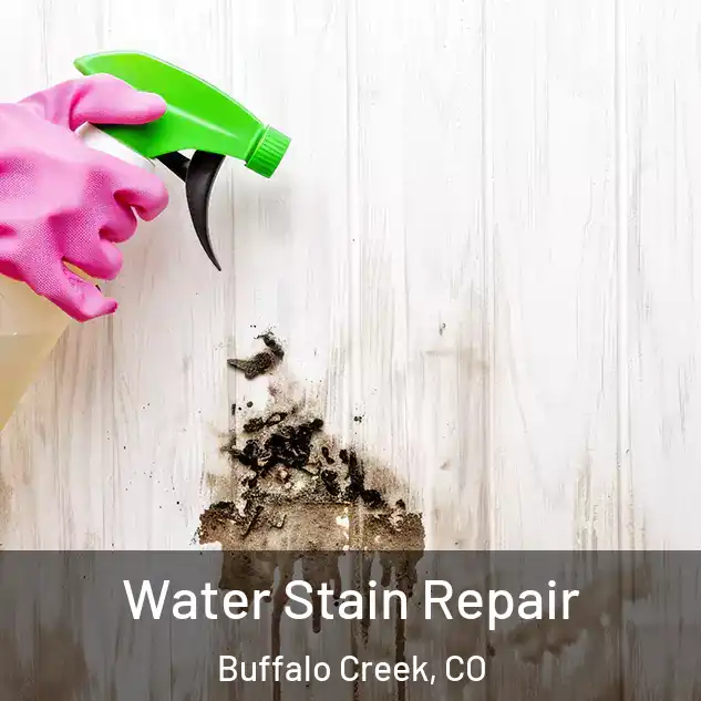  Water Stain Repair Buffalo Creek, CO