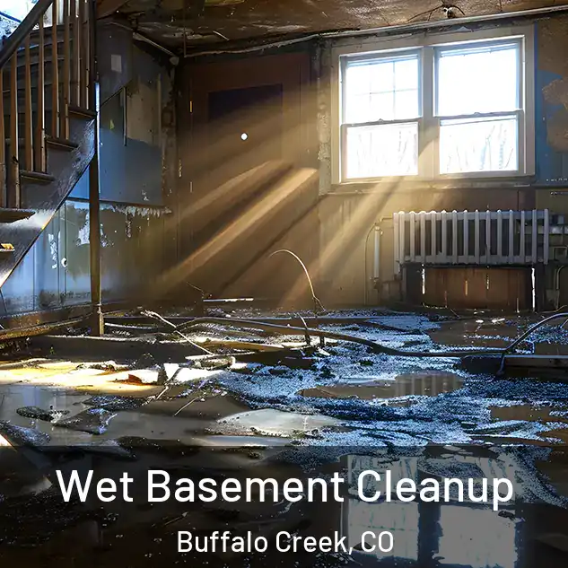  Wet Basement Cleanup Buffalo Creek, CO