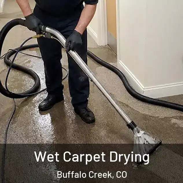  Wet Carpet Drying Buffalo Creek, CO