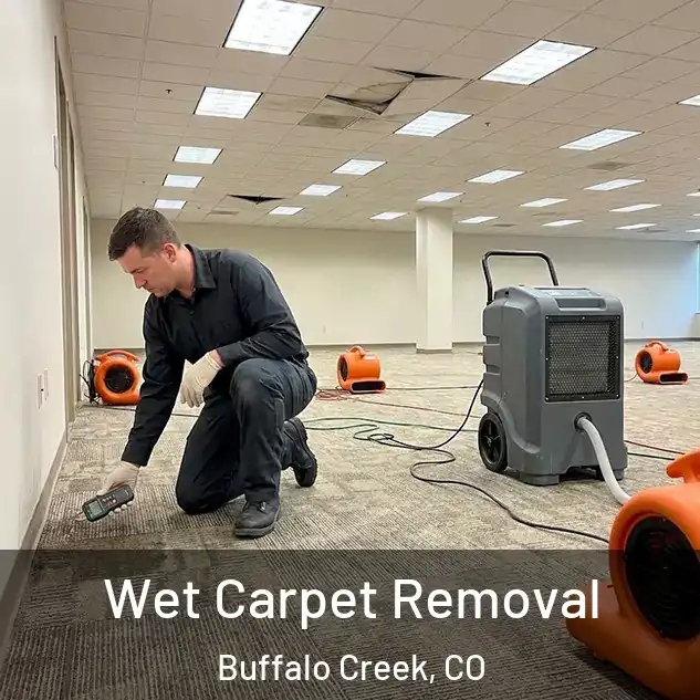 Wet Carpet Removal Buffalo Creek, CO